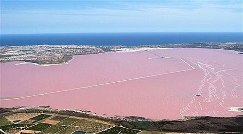Соляное озеро Торревьеха (Torrevieja), Испания 8oYSKgln_zw